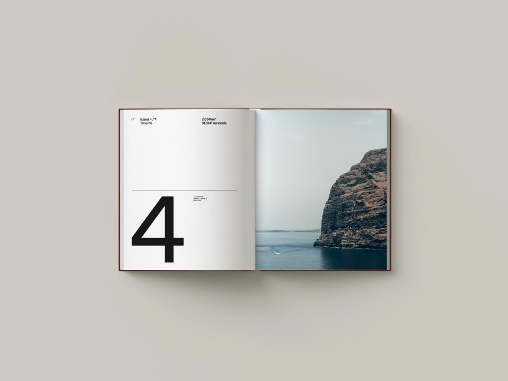 Voorbeeld pagina boek 4
